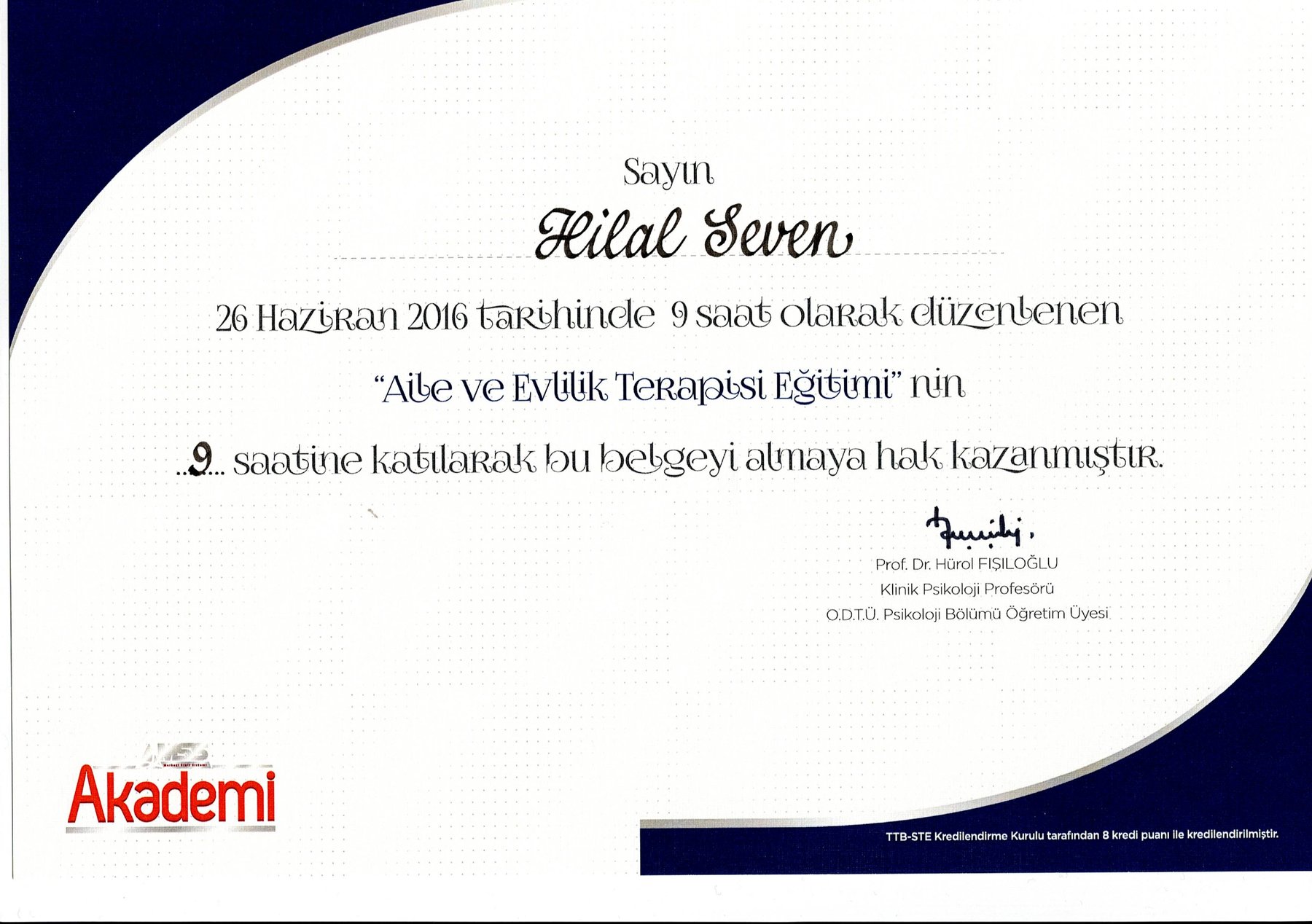 Aile ve Evlilik Terapisi Eğitimi